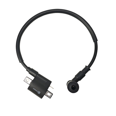 Bobina de encendido CG150D